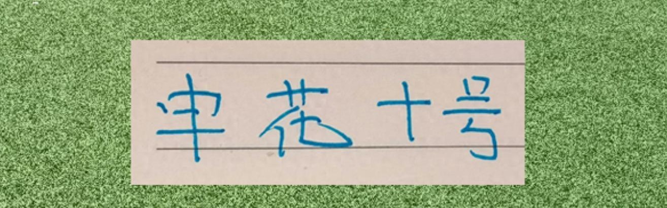 数据分析-谢天谢地谢鹏飞！拉唐要敲木鱼了 今年代表申花有2黄1红了