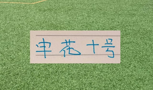 数据分析-谢天谢地谢鹏飞！拉唐要敲木鱼了 今年代表申花有2黄1红了
