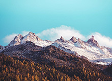 体育资讯-时隔11月桃田重返赛场 感谢支持者对未来充满信心